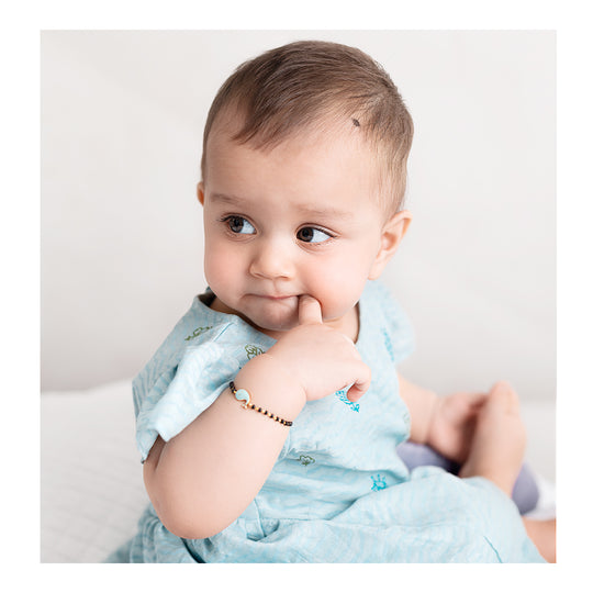 Destiny The Dolphin Nazariya