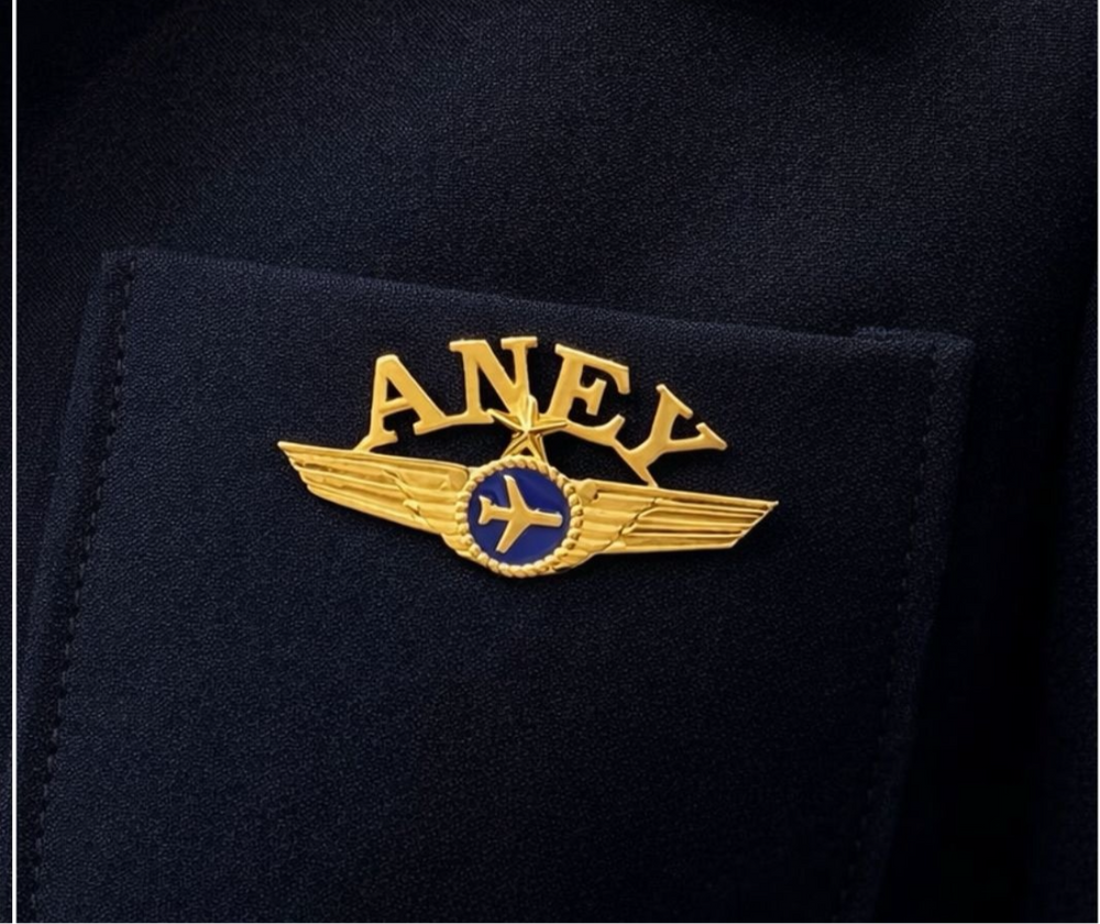 Airplane Name Brooch / Lapel Pin