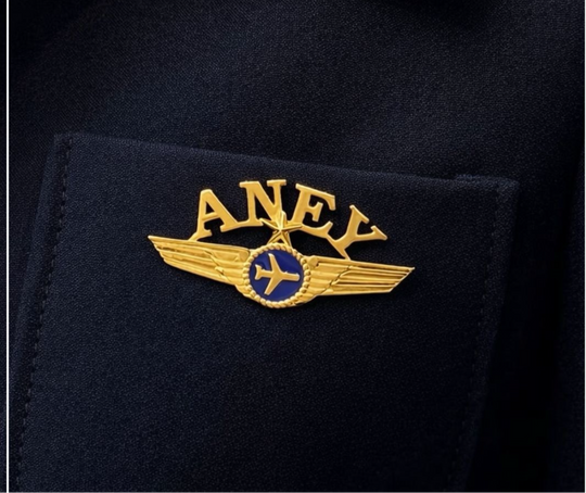 Airplane Name Brooch / Lapel Pin